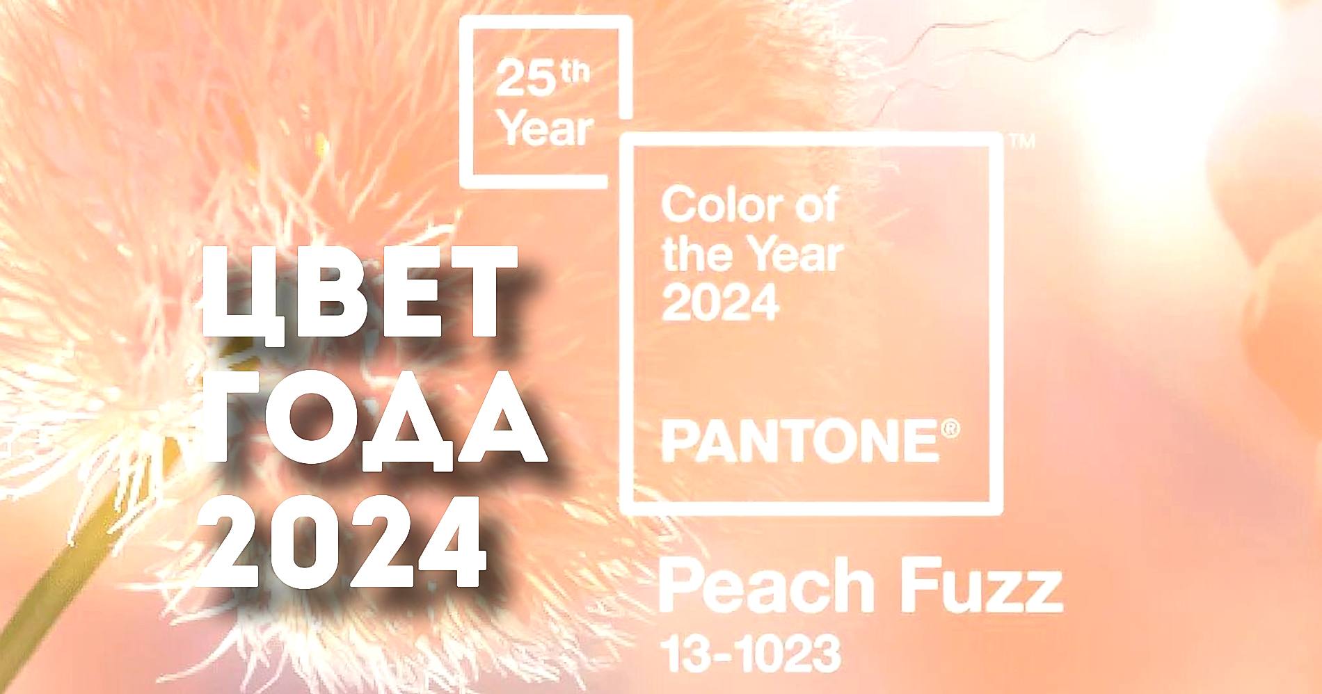 Цвет года 2024