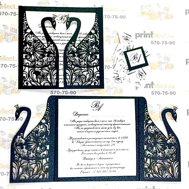 15403577 347839525574258 9218815875417636864 n