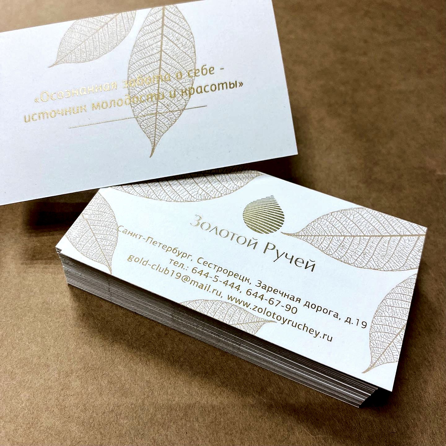 162044914 1081308385681693 6608872281810934805 n